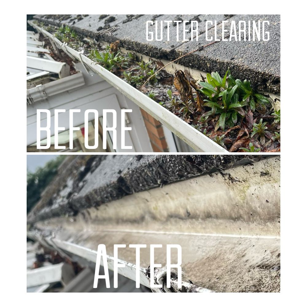 Gutter clearing before and after, removing weeds and moss