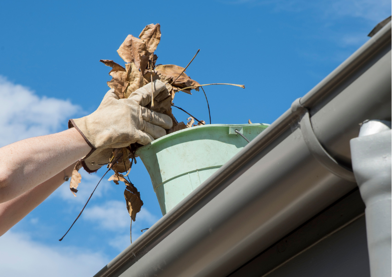 gutter cleaning