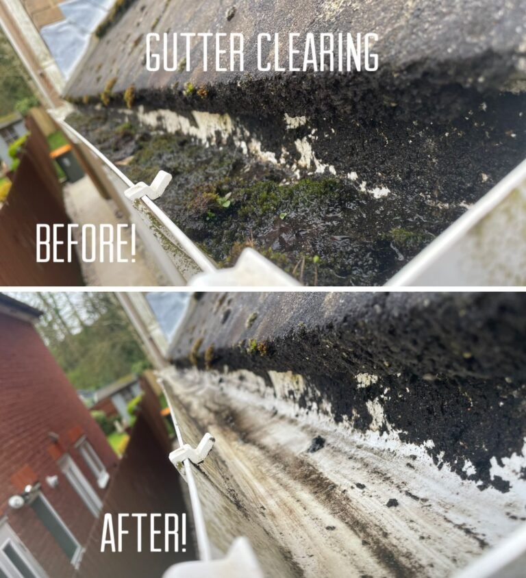 gutter cleaning