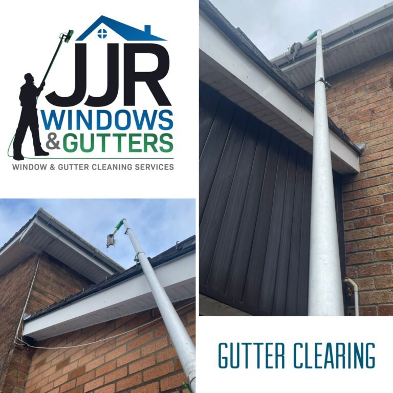 gutter cleaning