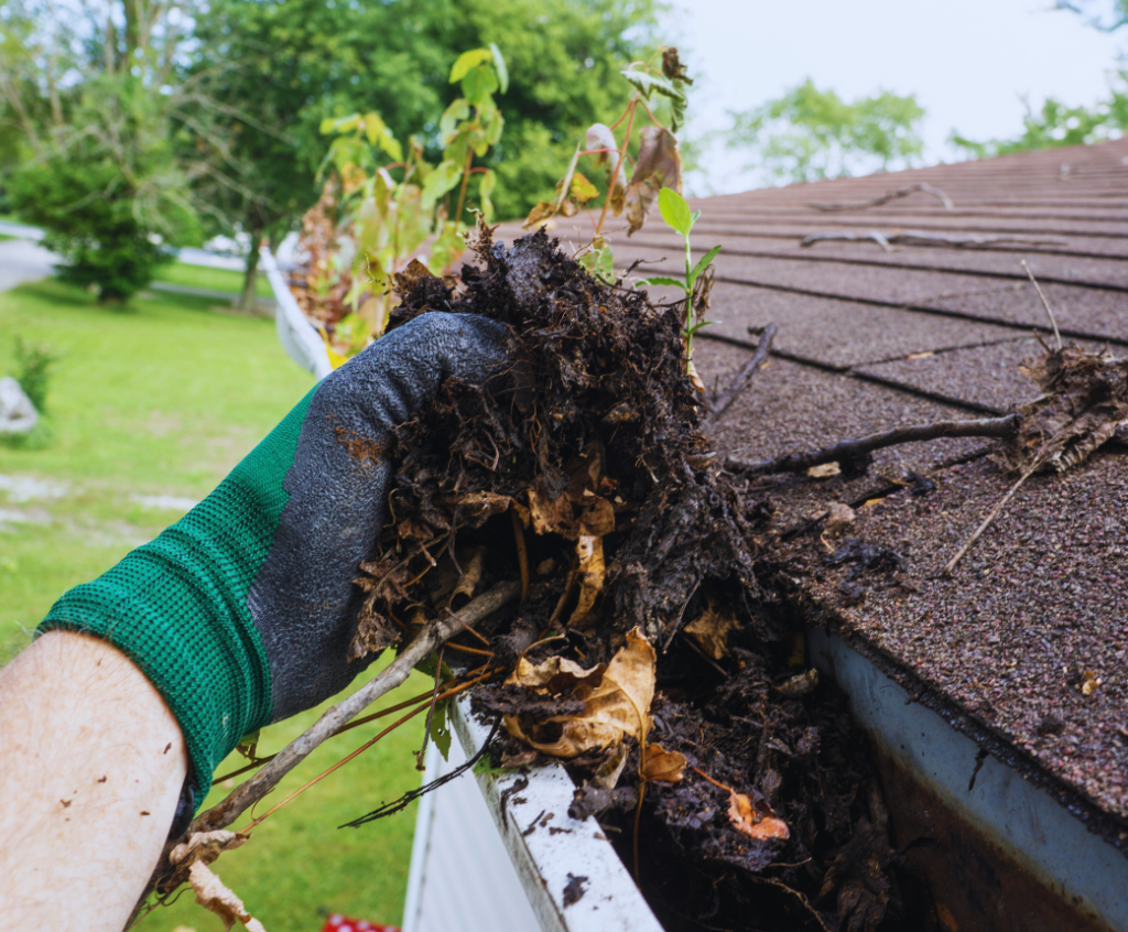 gutter clearing